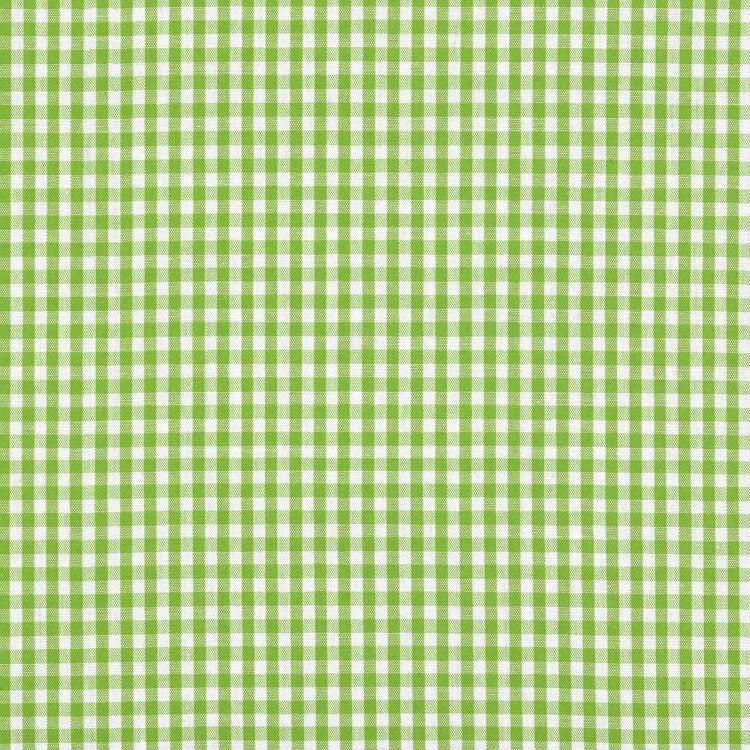 Lime/white Yarn Dyed Small Gingham Check from Kobenz by Modelo Fabrics