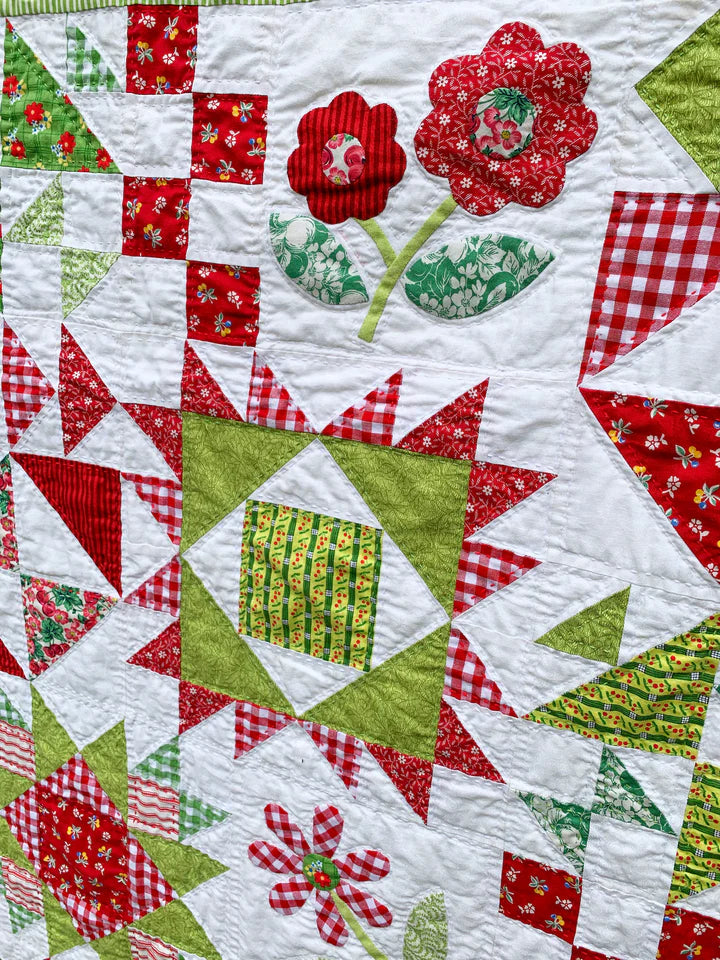 Online Sew a Long.  Apple Blossom Quilt Sampler image 2