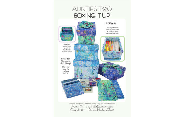 Aunties Two Boxing It Up image 0