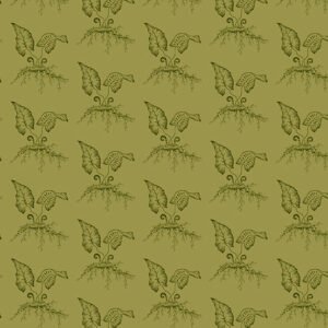 Greenthumb By Edyta Sitar for Andover - Thyme - Fiddleheads