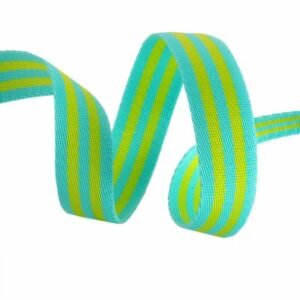 Tula Pink Webbing 2yd x 1in - Lime and Turquoise