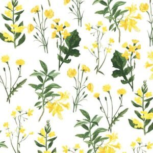 Figo Fabrics - Far and Wide - Flowers in White
