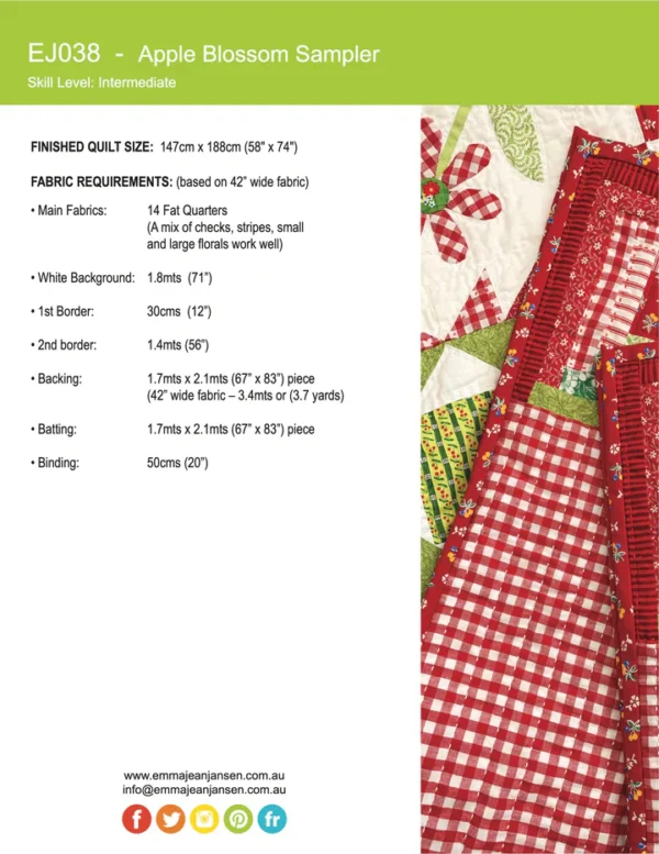 Online Sew a Long.  Apple Blossom Quilt Sampler - Image 4