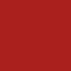 Confetti Cotton Solid by Riley Blake - Barn Red