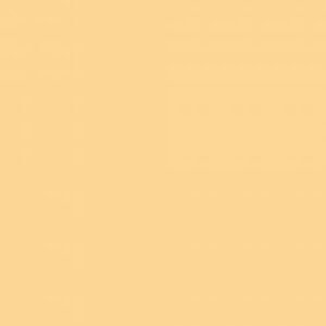 Confetti Cotton Solid by Riley Blake - Beehive