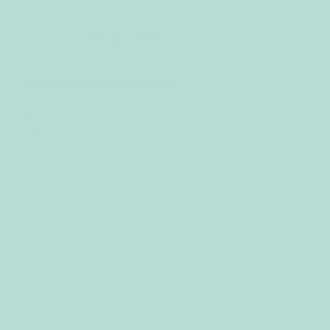 Confetti Cotton Solid by Riley Blake - Songbird